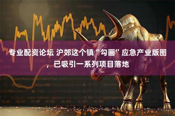 专业配资论坛 沪郊这个镇“勾画”应急产业版图，已吸引一系列项目落地