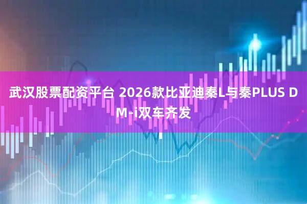 武汉股票配资平台 2026款比亚迪秦L与秦PLUS DM-i双车齐发